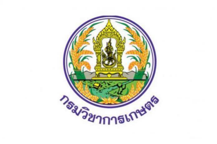 กรมวิชาการเกษตร (ส่วนกลาง) รับสมัครบุคคลเพื่อเลือกสรรเป็นพนักงานราชการทั่วไป  ตำแหน่ง เจ้าหน้าที่บันทึกข้อมูล ตั้งแต่วันที่ 11 - 17 กุมภาพันธ์ 2569