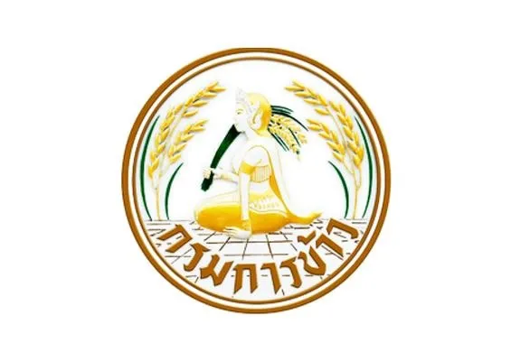 กองตรวจสอบรับรองมาตรฐานข้าวและผลิตภัณฑ์ กรมการข้าว ประกาศรับพนักงานจ้างเหมาบริการ ตำแหน่ง พนักงานขับรถยนต์