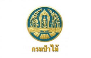 กรมป่าไม้